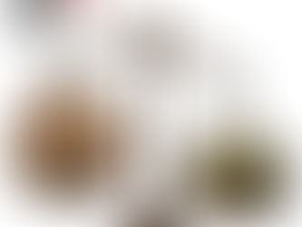 Trento: svegliamoci, ci stanno prendendo in giro