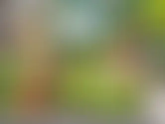 Progetto "Coniglietto Dorato": bar per bimbe e bimbi nei parchi a servizio delle famiglie