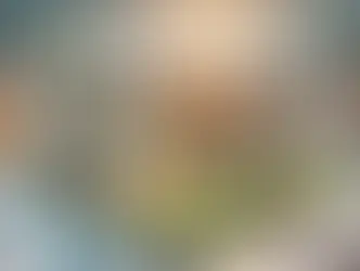 Immobili sfitti: una risorsa dimenticata