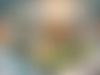 Immobili sfitti: una risorsa dimenticata