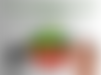 Siamo i tuoi occhi e la tua voce in Comune