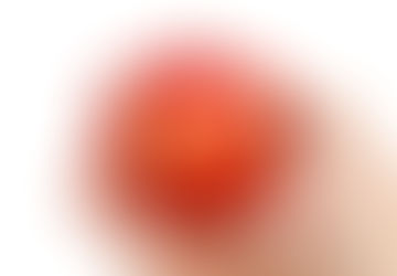 Report Cards & Parent Portal