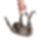 Sloth Only Hand.png