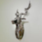 Kudu Iso Right.jpg