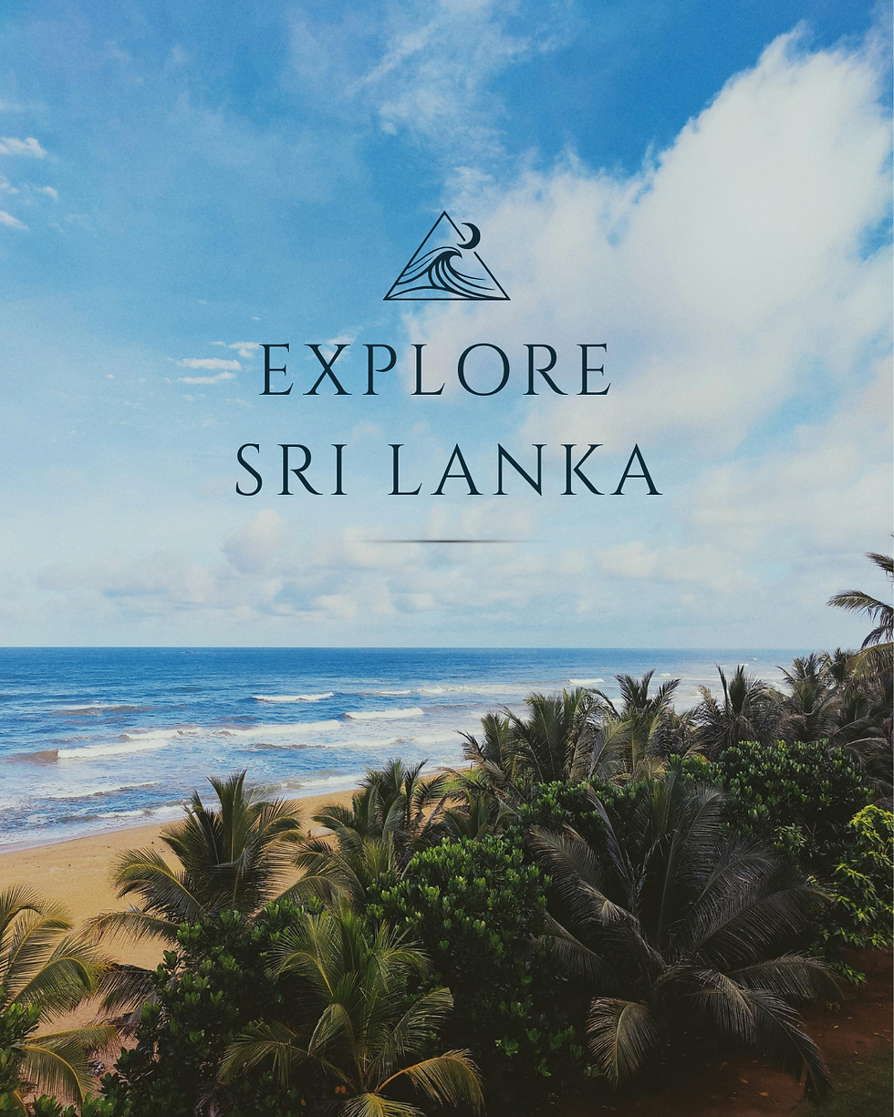 Panoramic view of Sri Lanka's tropical coastline with palm trees, golden beach, and the Indian Ocean.