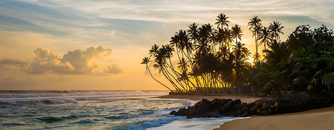 Golden sunset over a tropical Sri Lankan beach with leaning palm trees and ocean waves on the South Coast