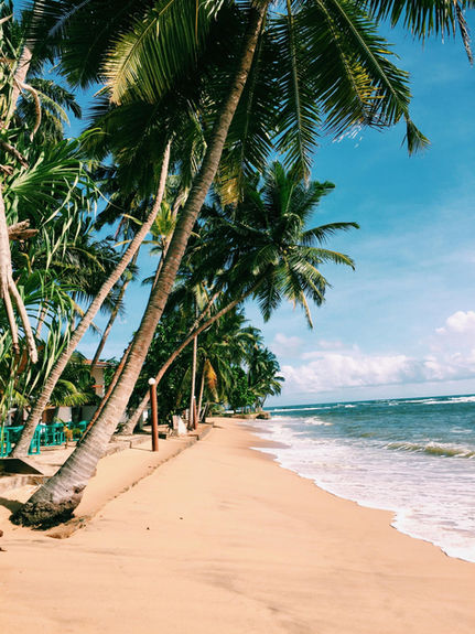 Tropical palm-lined beach on the southern coast of Sri Lanka