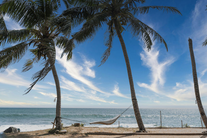 Palm trees leaning over a calm tropical beach with turquoise ocean and blue skies in Bentota, Sri Lanka.