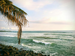 Palm-lined tropical coastline and Indian Ocean waves in southern Sri Lanka