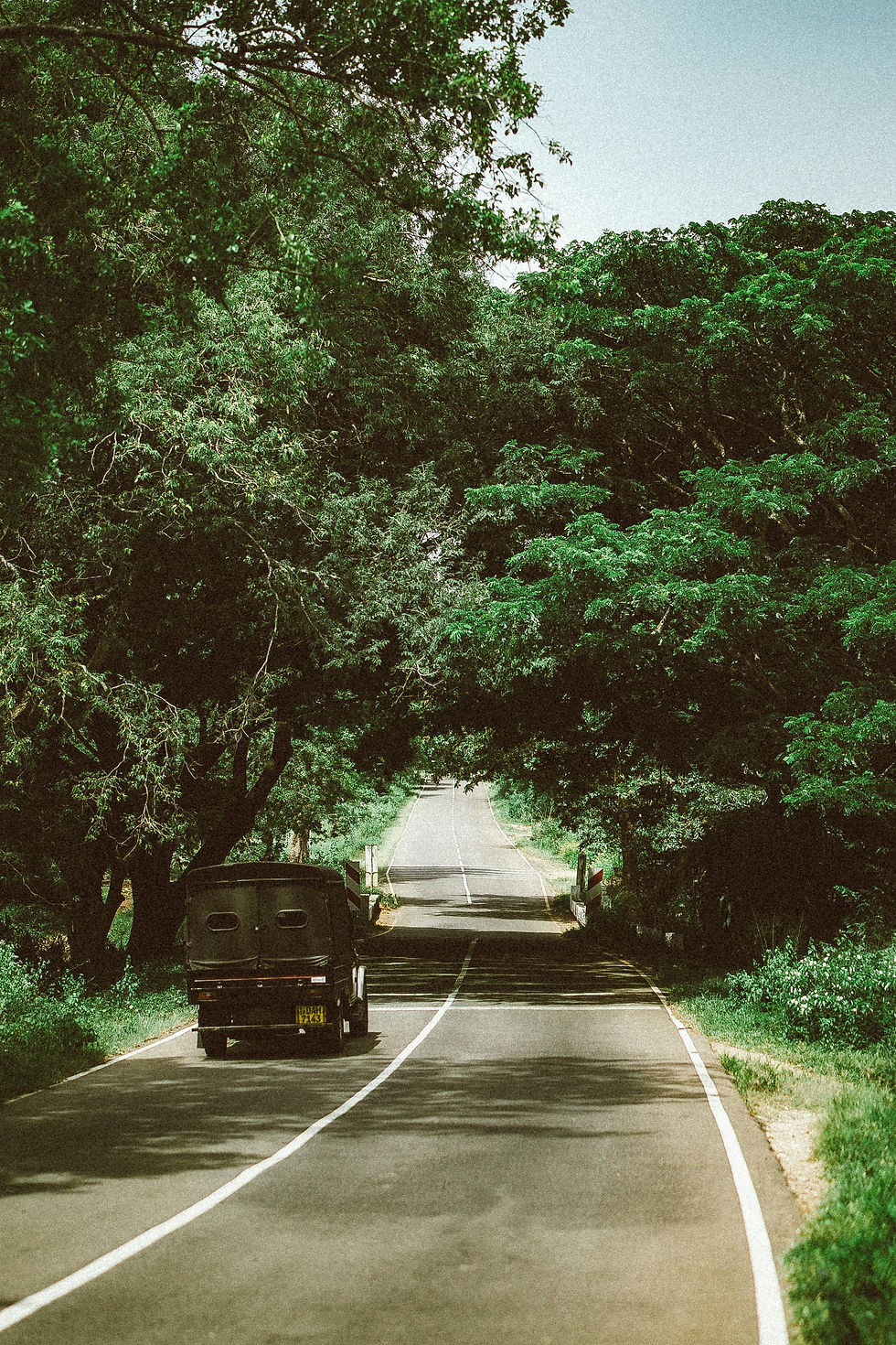 Scenic tropical road surrounded by lush jungle landscapes in Sri Lanka
