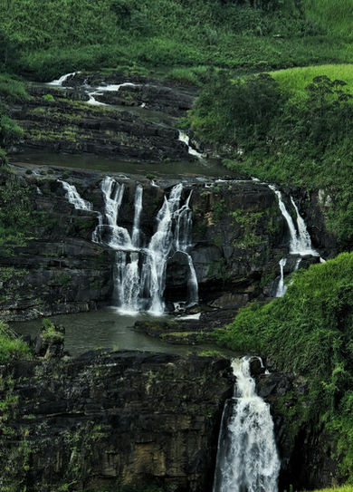 Scenic waterfall flowing through lush tea plantations in the Sri Lankan highlands.