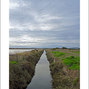 l'étang des Pesquiers à Hyères