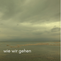 Trübes Meer unter wolkigem Himmel, darüber der weiße Text wie wir gehen; ruhige, melancholische Stimmung.