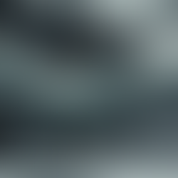 Handshake in schwarz-weiß