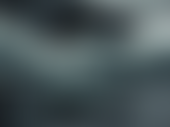 Handshake in schwarz-weiß