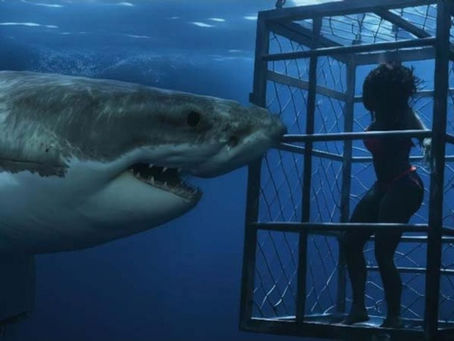 'Chum' Review: Copy, Paste, Swim. Did Chum just steal the entire plot of Dangerous Animals?