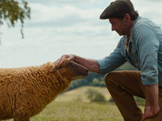 Official Trailer for 'The Sheep Detectives' Reveals a New Breed of Mystery