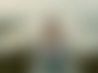 Bride in white dress with floral bouquet and flowing veil, standing in a misty field. A serene and dreamy atmosphere pervades the scene.