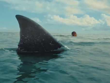'The Bay' Review: A Shark Thriller Where Humanity Drowns and Survival Takes Over