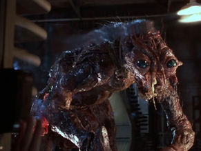 Best Body Horror Movies & TV Shows to Celebrate 40 Years of 'The Fly'