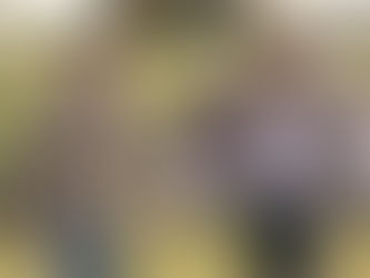 REVIEW | RAYMOND & RAY