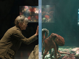 'Remarkably Bright Creatures' Teaser Trailer: Alfred Molina Revealed as the Voice of Marcellus the Octopus