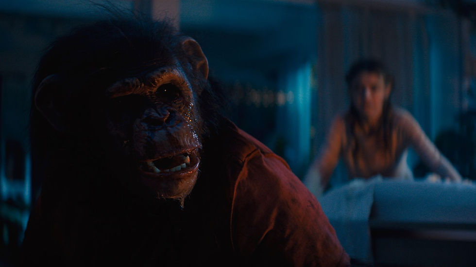 A distressed chimpanzee is in the foreground, mouth open. In the blurred background, a person in a room with dim blue lighting.
