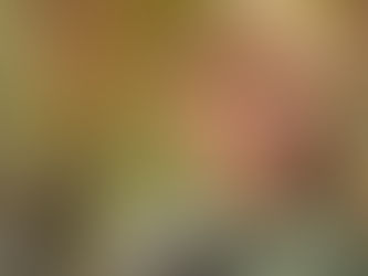 'Xeno' (2025) Review: A Moving, Family-Friendly Sci-fi Adventure