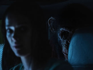 'Primate' Review: Short, Savage, and Unapologetically Bloodthirsty Monkey Mayhem