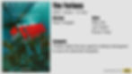 IMDb page for The Furious, an action film poster showing fighters in a teal scene; text lists 2025, director Kenji Tanigaki, stars.