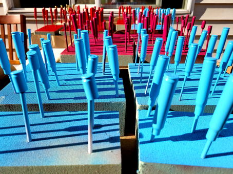 painted casings drying in sun