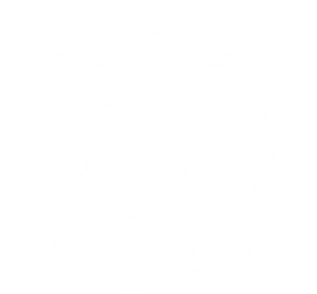 DsmooveeLogo_White.png
