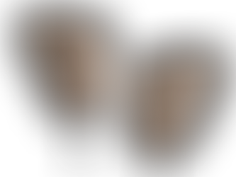 シグニアIX(アイエックス)シリーズ新製品