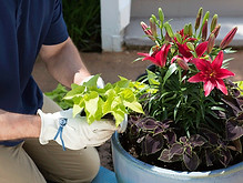 Flower bed service information.