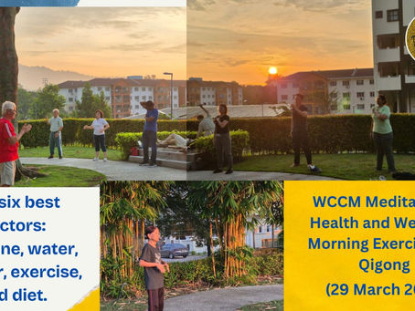 Invitation to Morning Qigong at SFA Station 12