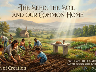 The Seed, the Soil and Our Common Home