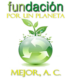 FUNDACIÓN