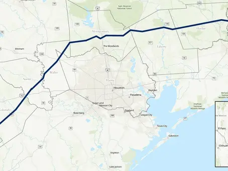 When is a Blackfin Not a Tuna?