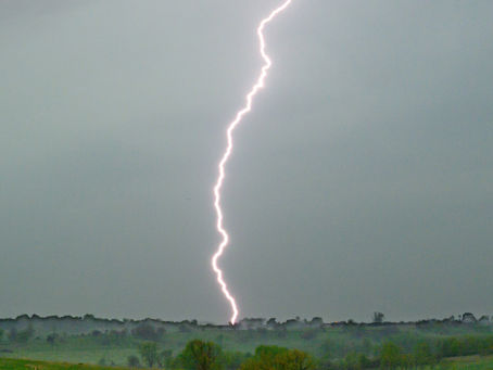 Sustainable Solutions: Pivot Bio 🌱