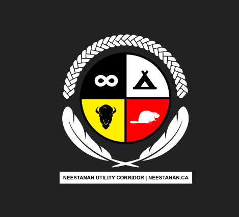 Source: NeeStaNan (First Nations)