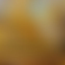 東京都立川市の高校生が喜ぶ誕生日パーティー・誕プレ完全ガイド