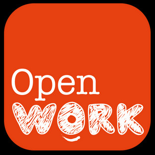 Animation d'un atelier networking
