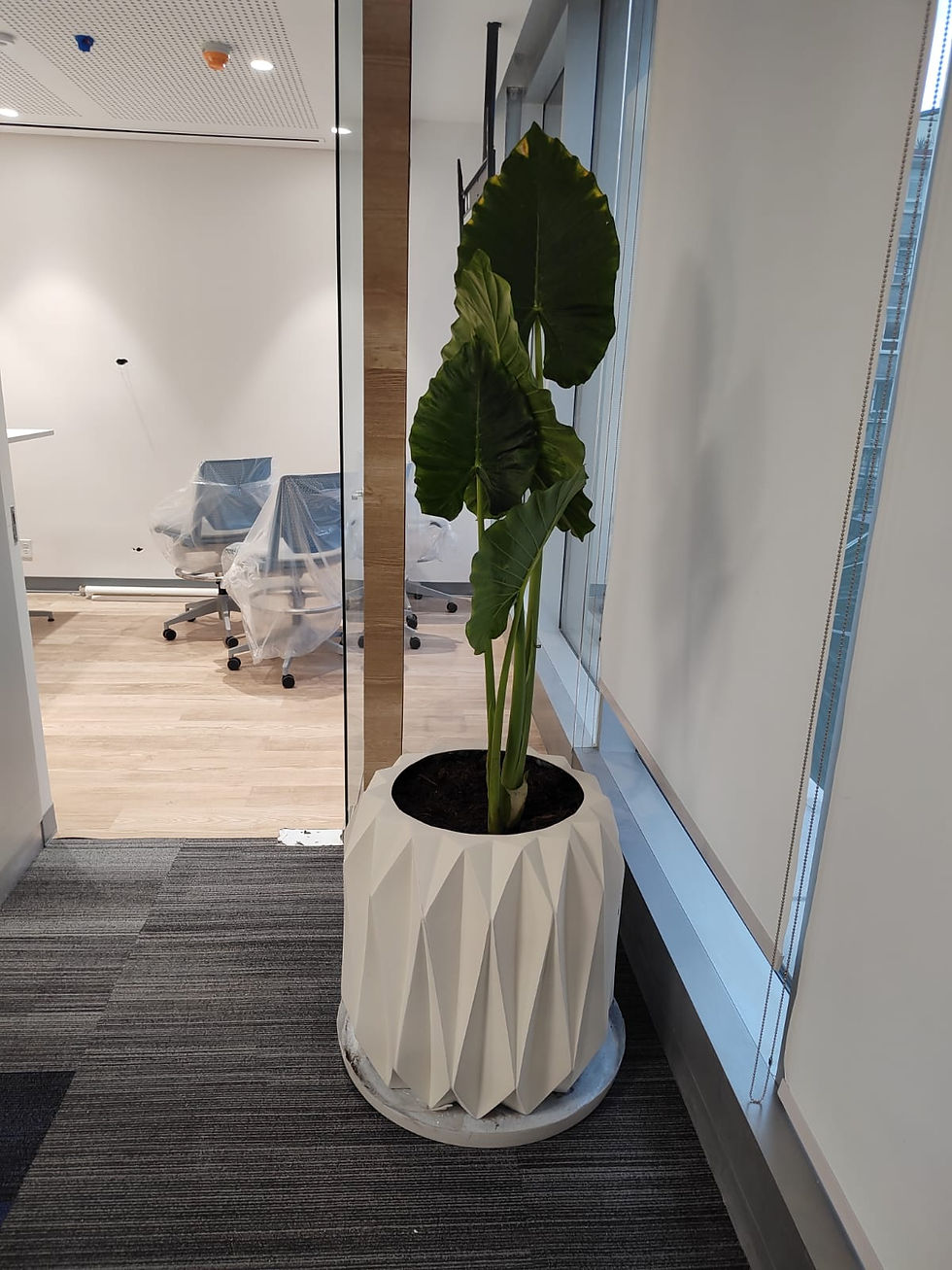 Miniatura: JANA_Astriada