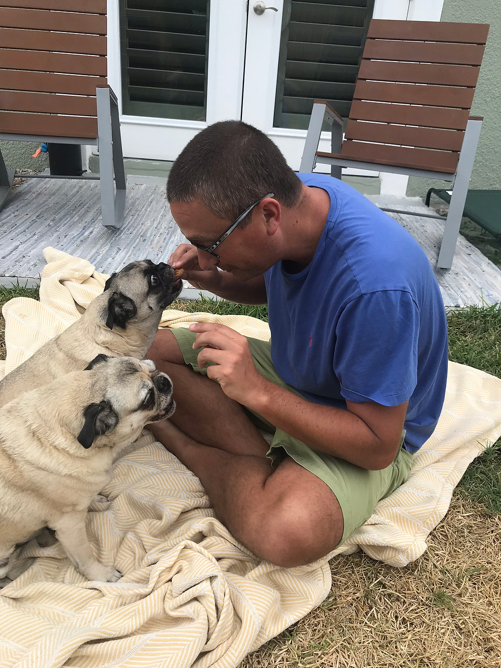 Berries make great dog treats