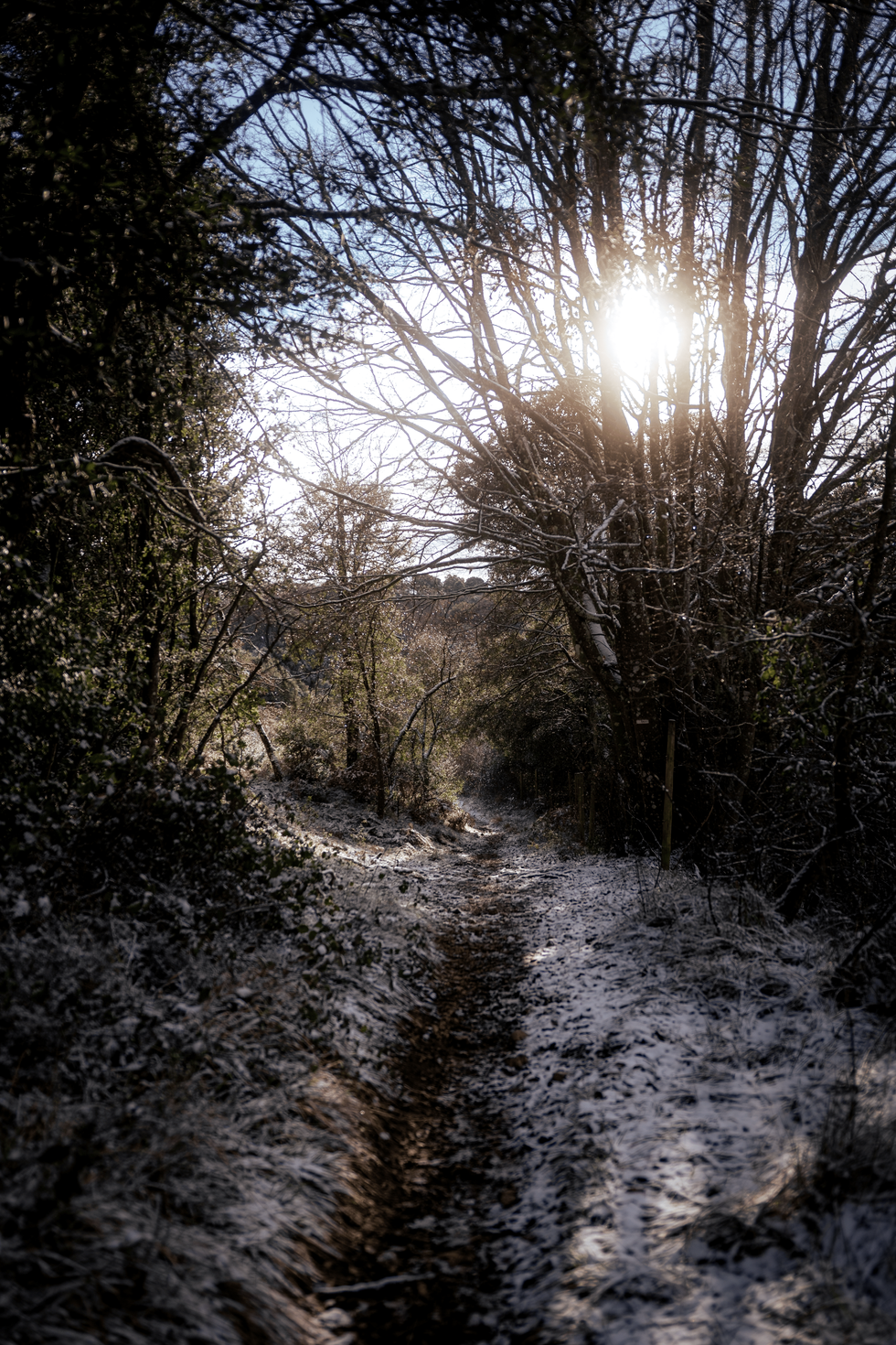 paseo nevado por la mañana en el Puerto de Vitoria