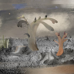 Wildgroei op een Strand