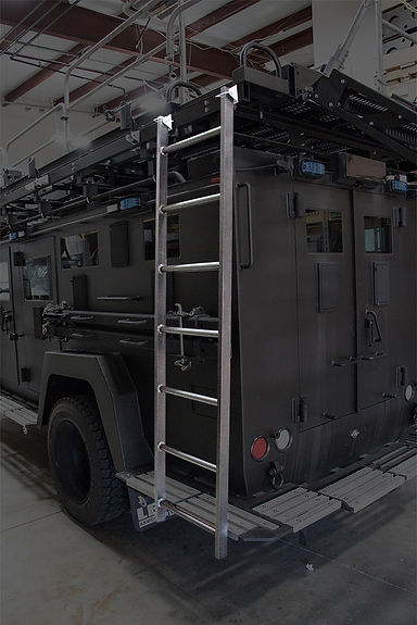 Rear Access Ladder