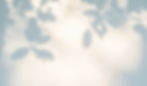 Leaves Shadow_edited.jpg