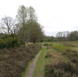Trekvogelpad-1.jpeg