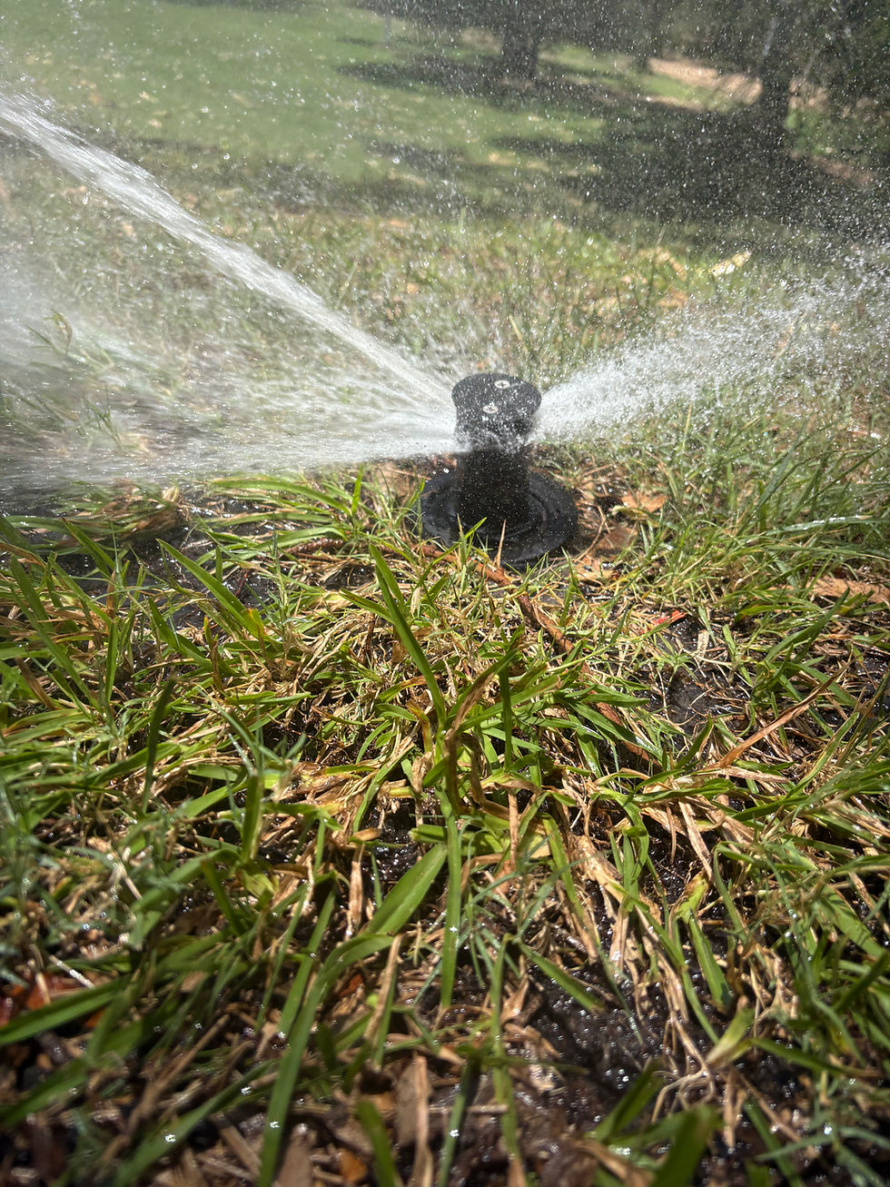 An irrigation sprinkler turned on and spraying water